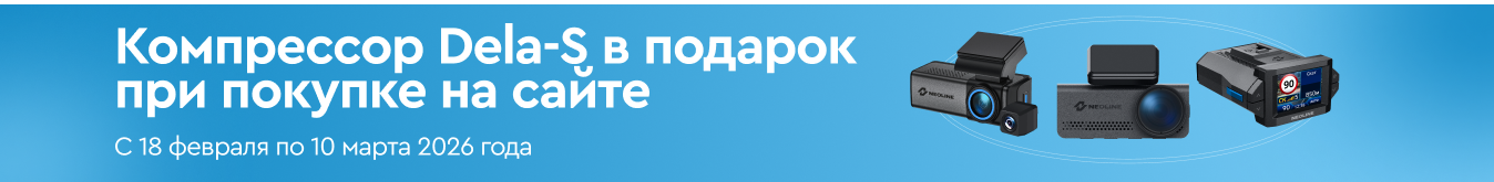 Dela-S в подарок ПК